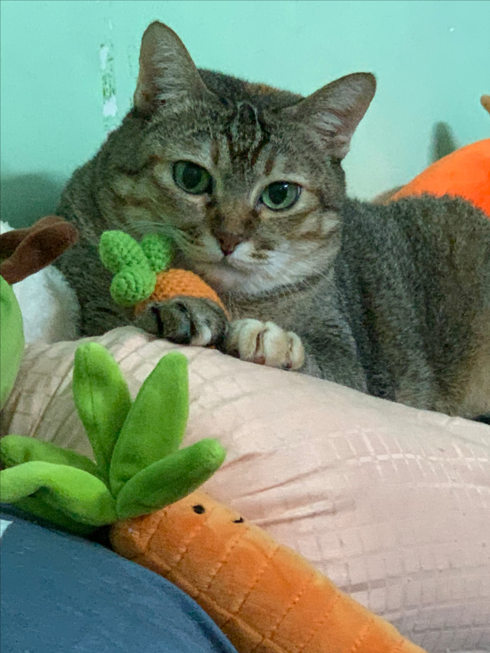 em bé thích cà rốt🥕