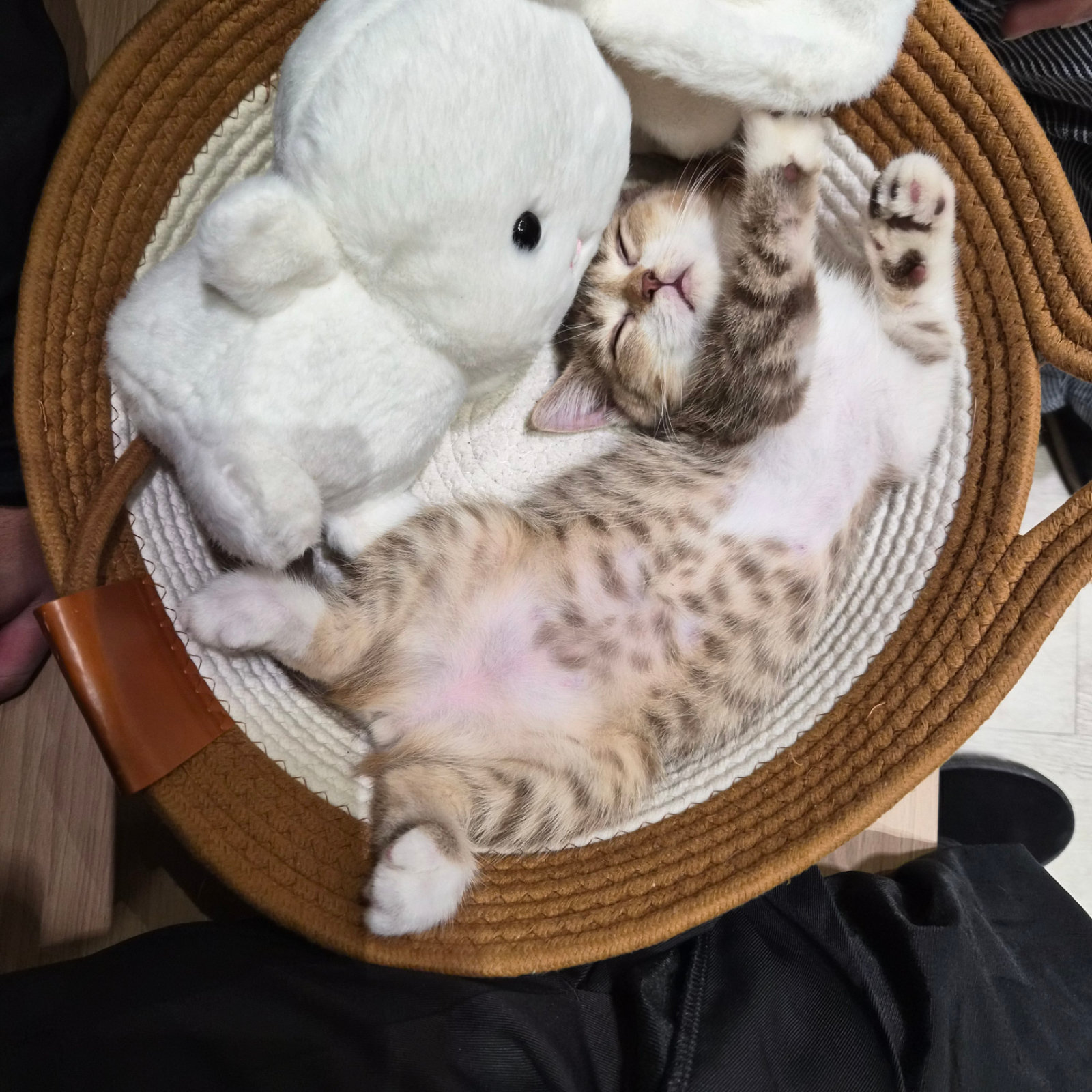 bun ngu waaaa
