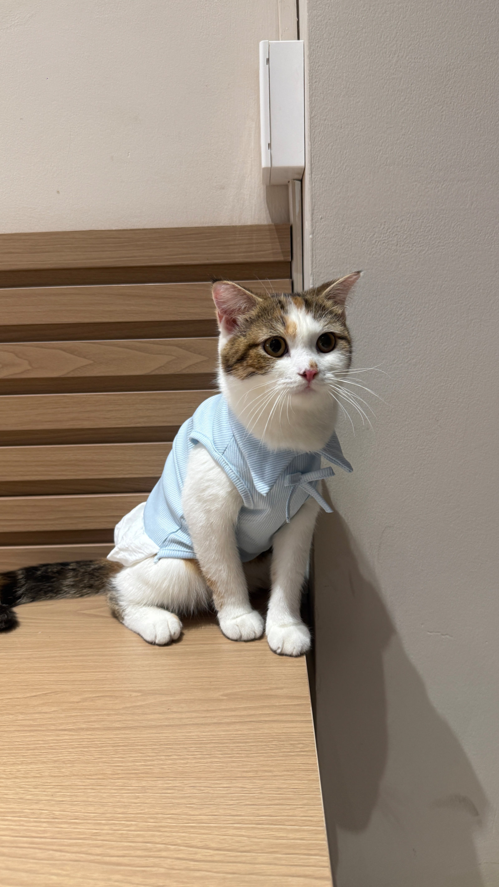 mẹ mới sắm cho cái áo mới