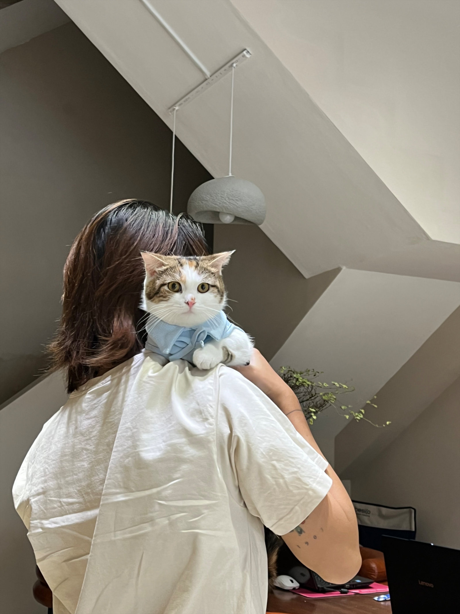 Clubpets Thú cưng của tháng